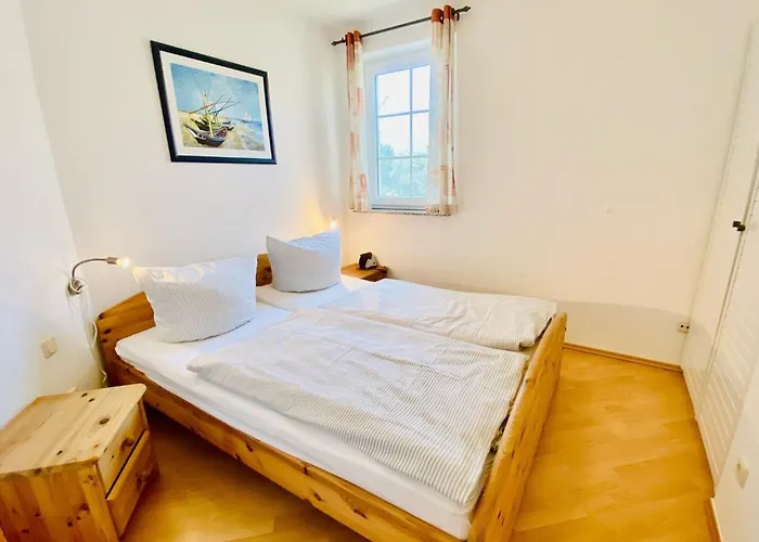 Sunshine * 青斯特