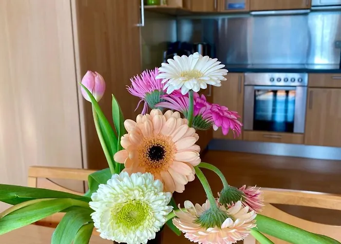 Sunshine * 青斯特